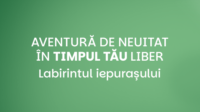Labirintul Iepurasului 2025