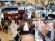 galerie