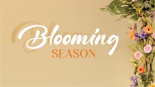 BLOOMING SEASON | SS23 Collections