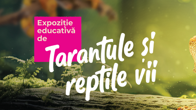 Expozitie educativa de Tarantule si Reptile vii