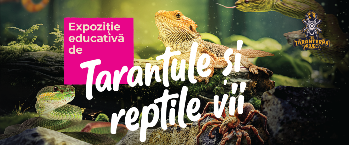 Expozitie educativa de Tarantule si Reptile vii