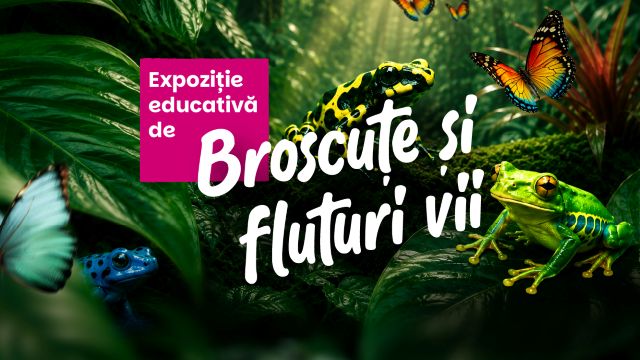 Expoziție educativă de broscuțe și fluturi vii