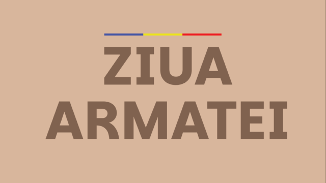 ZIUA ARMATEI