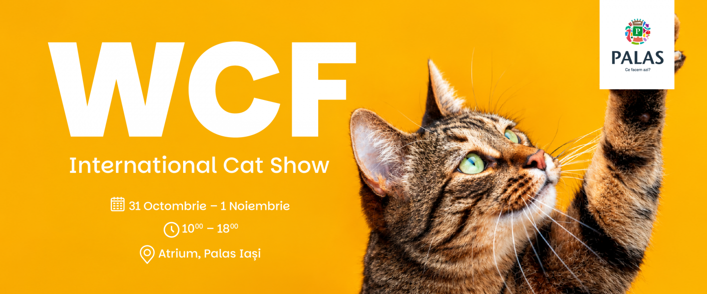 WCF International Cat Show